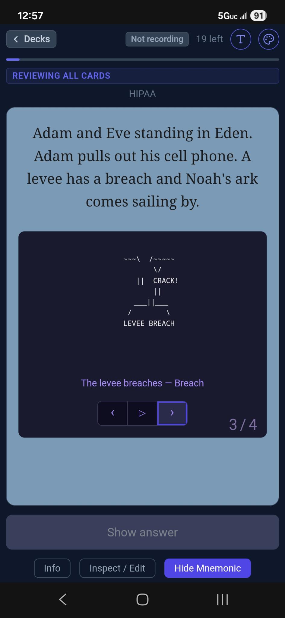 ASCII art mnemonic in Flipnem